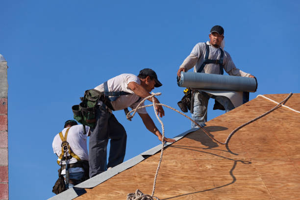 Best Roof Replacement Cost  in Van Buren, MO
