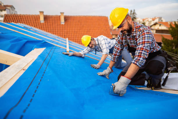 Best Best Roofing Contractors  in Van Buren, MO