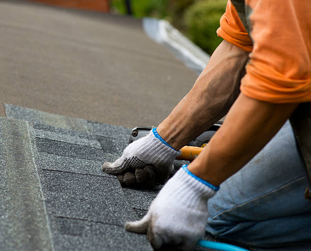 Quick and Trustworthy Emergency Roof Repair Services in Van Buren, MO